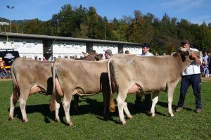 007k-Schneuter 1.Lakt